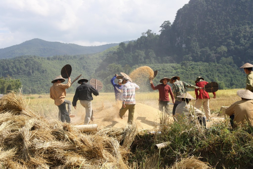 Rolnicy na polu ryżowym, wioska Ban Na nieopodal Muang Noi Neua, fot. Pep Puig