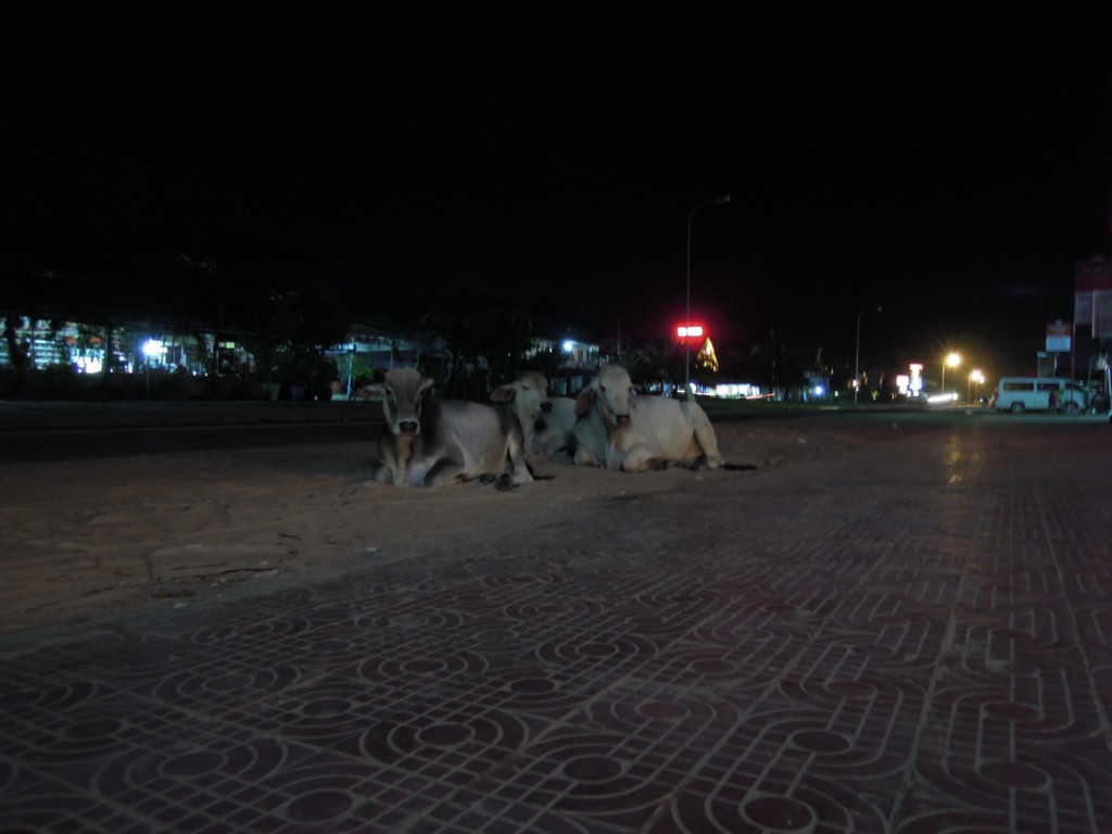 Krowy w centrum kurortu? Spokojnie, to Kambodża. Sihanoukville, fot. M. Lehrmann