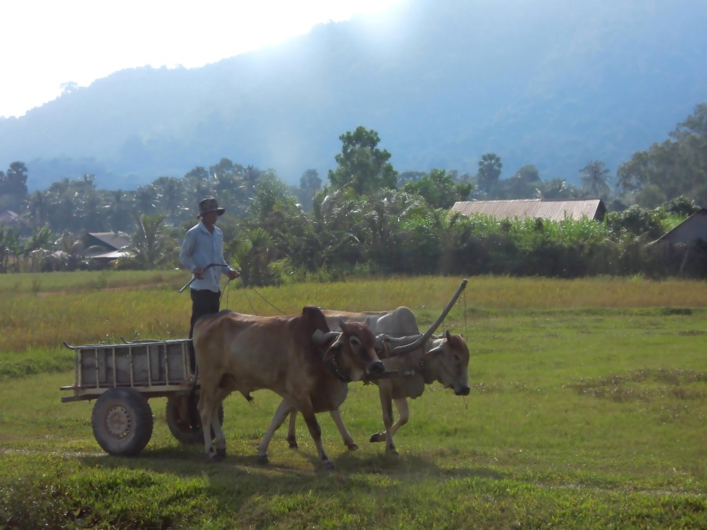 Życie wsi, południowa Kambodża, fot. M. Lehrmann