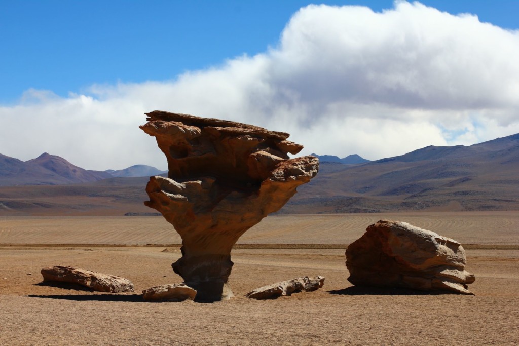 Niepowtarzalne formacje skalne, Altiplano, Boliwia,  fot. O'n'G
