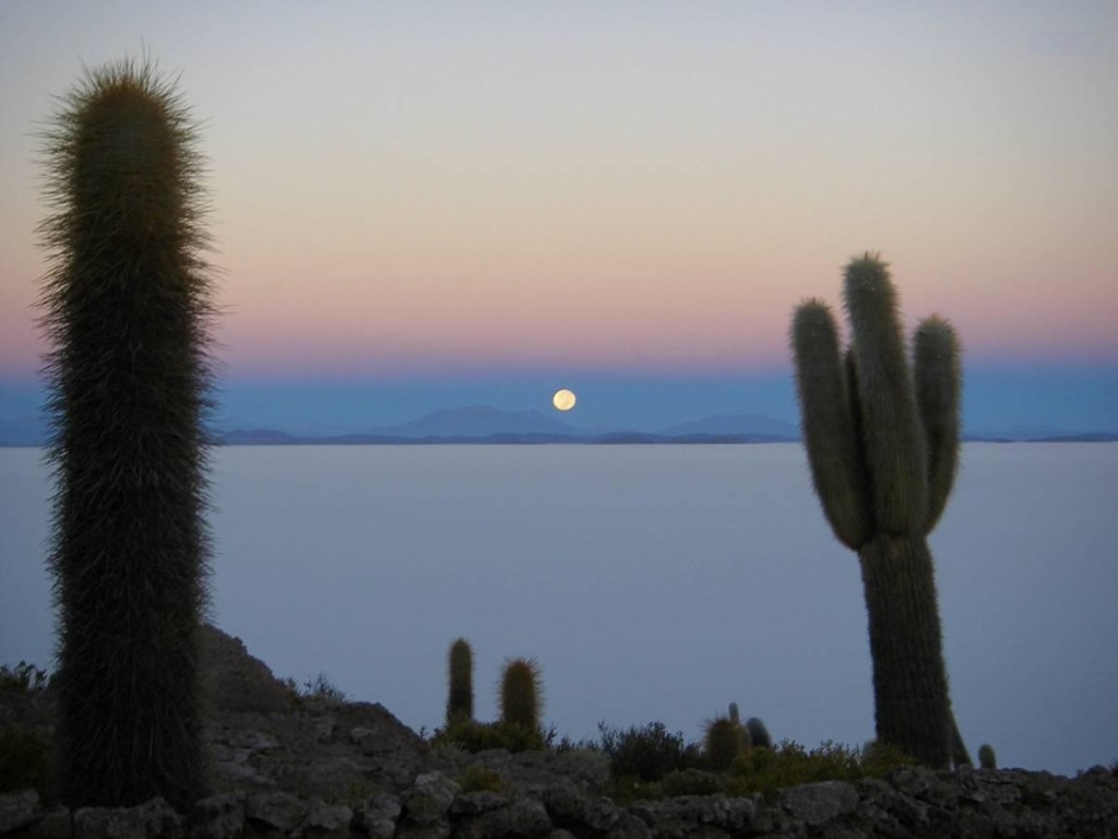 Wyspa Incahuasi, czyli szczyt wulkanu, Salar de Uyuni, Boliwia, fot. Fran A. Acero. Zdjęcie pochodzi ze strony autora http://www.viajeserraticos.com/