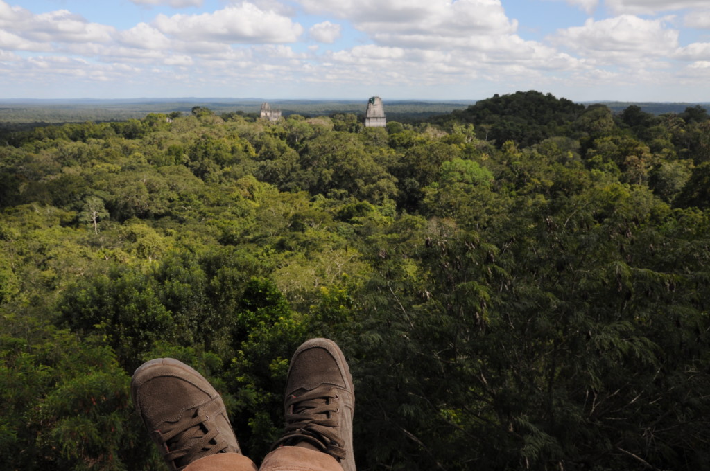 Widok na dżunglę ze świątyni IV, najwyższej struktury Tikalu. W oddali słychać głośne porykiwania małp wyjców, fot. Ulka Kupińska