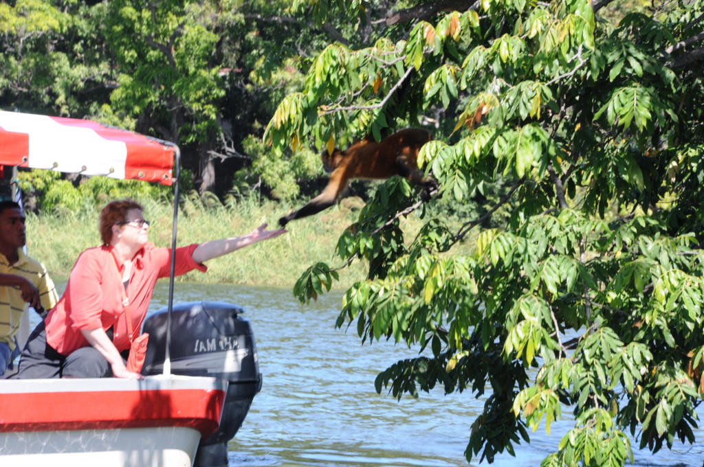 Małpie figle, Isla de Los Monos, Jezioro Nikaragua, fot. Ula Kupińska