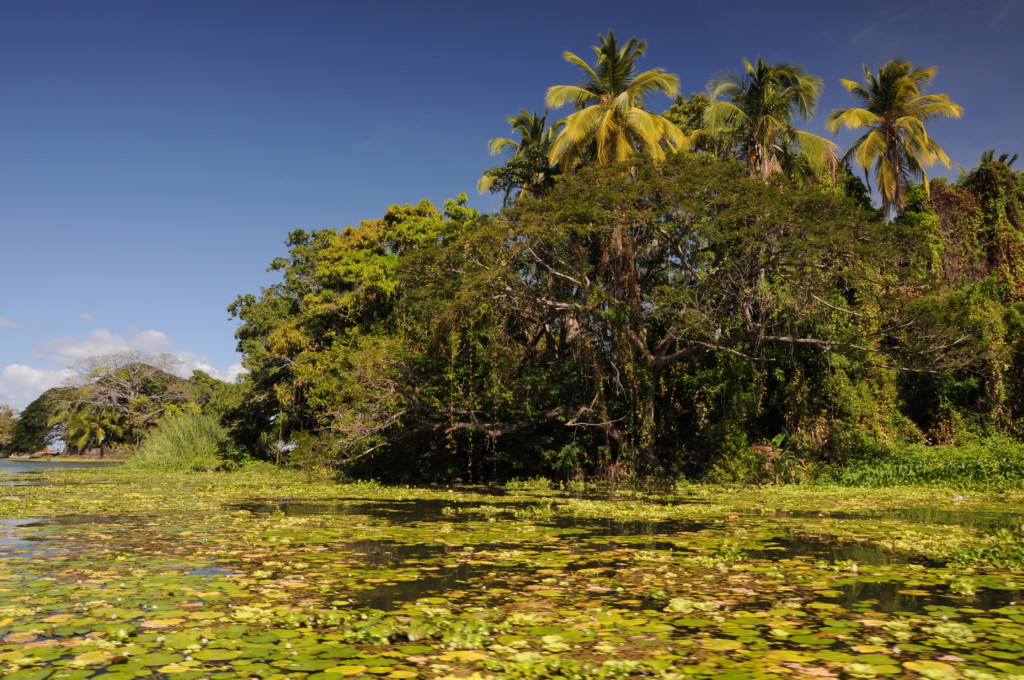 Tropikalna zieleń, Jezioro Nikaragua, fot. Ula Kupińska