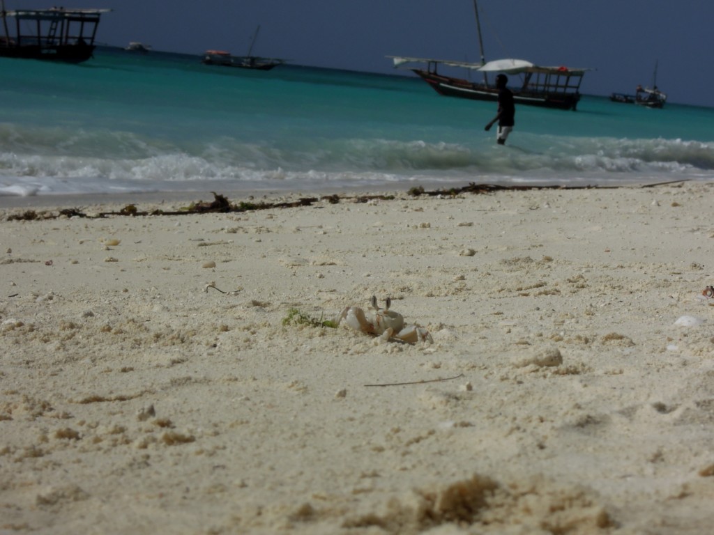 Nungwi, Zanzibar, Tanzania, fot. A. Mielczarek